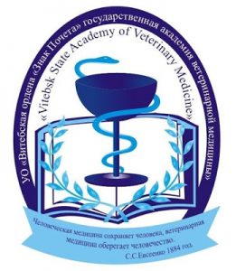 Santé : quand s’adresser au neurologue ?