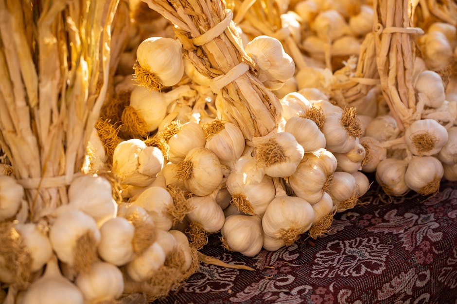 Gousses d'ail rangées dans un bocal en verre pour une conservation optimale